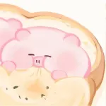。。