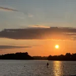 🐬