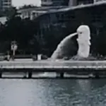 萍🇸🇬