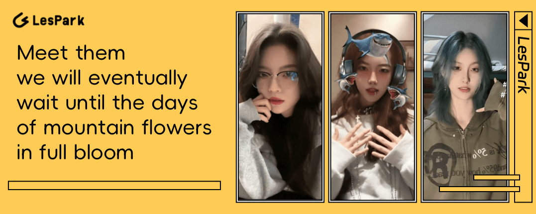 Meet them, we will eventually wait until the days of mountain flowers in full bloom