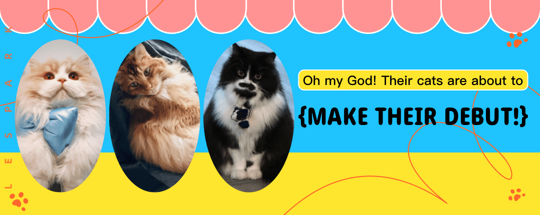 Lala blogger reveals: the mysterious life behind cats