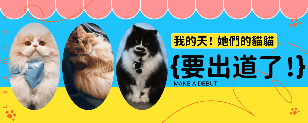 拉拉達人博主揭秘：貓咪背後的神秘生活